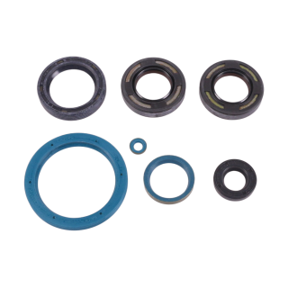 Kit paraoli Tm Kz