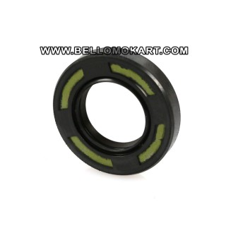 Paraolio iame reedster OK lato pignone