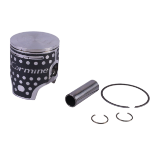pistone TM R1 R2 R3 semipiatto troncoconico DI CARMINE 3079