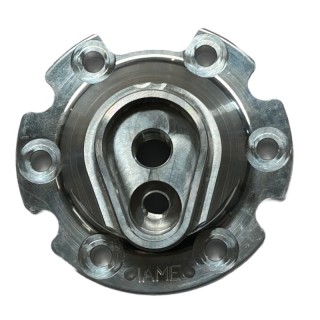 Cupola testa  iame Reedster V  OK-N