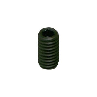 Grano M5x25 per eccentrici fusello Parolin