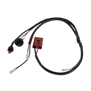 Cablaggio principale TM 60 mini