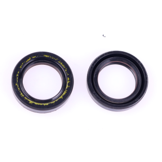 Paraolio 20x30x7 Tm mini GR-3 Ptfe originale