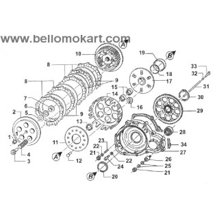 Rullino asta frizione 5x8  tm