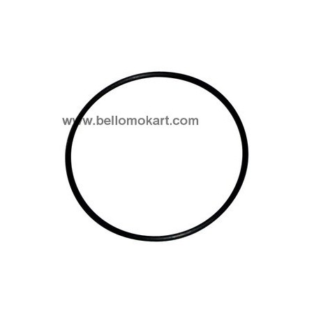 O-ring esterno
