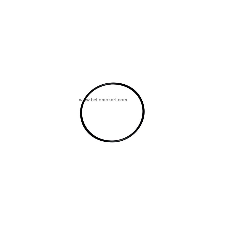 O-ring esterno
