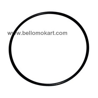 O-ring esterno