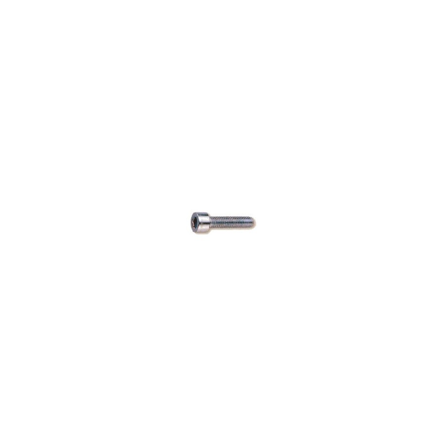 Vite TCEI 6 x 20 (collettore scarico)