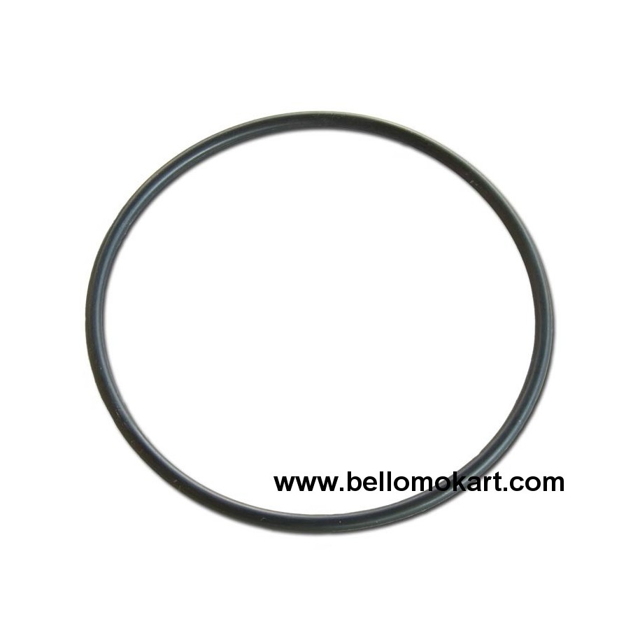 O - ring mozzo campana frizione tm