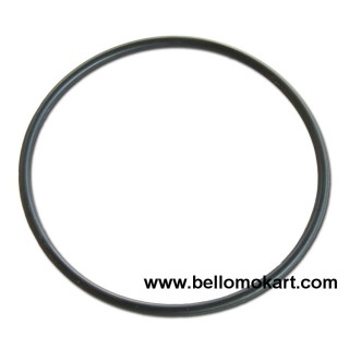 O - ring mozzo campana frizione tm