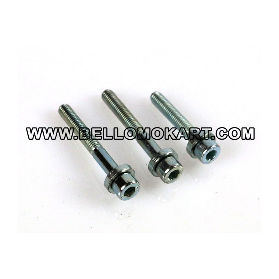 Kit viti accensione tm