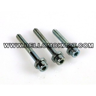 Kit viti accensione tm