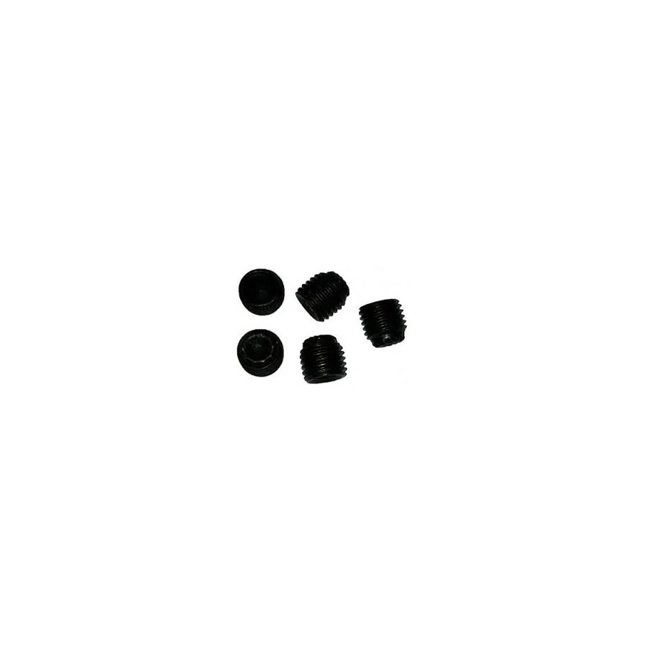 Grano STEI M6x6mm P.0,75mm Punta Tazza Zigrinata per cuscinetto assale 25 / 30