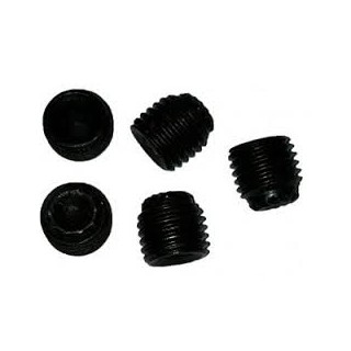 Grano STEI M6x6mm P.0,75mm Punta Tazza Zigrinata per cuscinetto assale 25 / 30