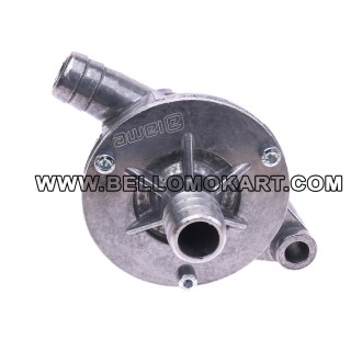 Pompa acqua  IAME X30