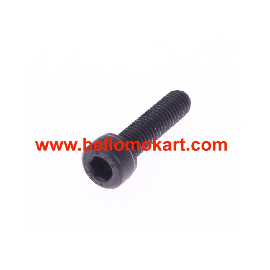 Vite TCCE 5x18 Iame 