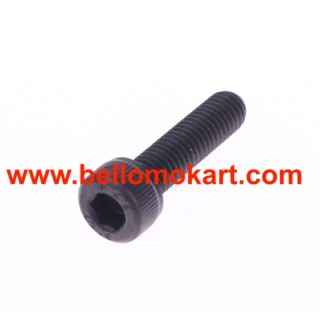 Vite TCCE 5x18 Iame 