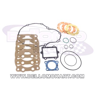 kit guarnizioni + O-Ring Tm R1 