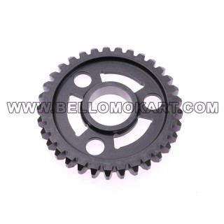 ingranaggio 1^ Z33 albero secondario Tm R1