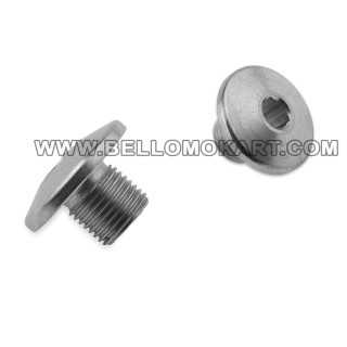 BRAKE TANK FIXING SCREWS
