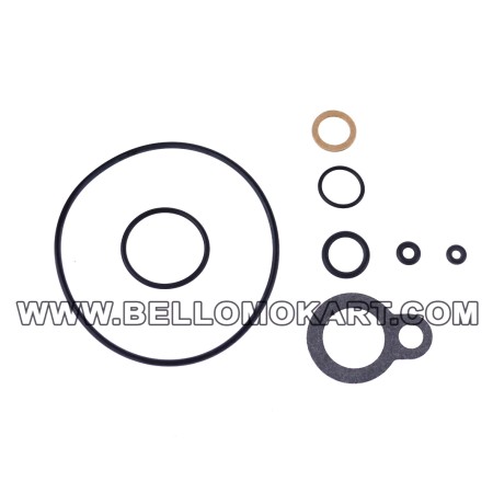 Kit guarnizioni carburatore dellorto PHBN 14 MS