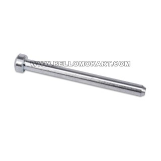 perno guida pastiglia D. 5x58 freeline