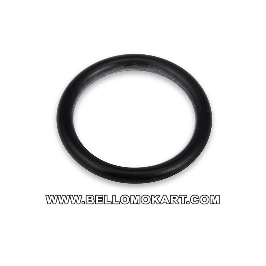 guarnizione O.R. 20,22 x 3,53 EPDM  pinza CX  posteriore birel
