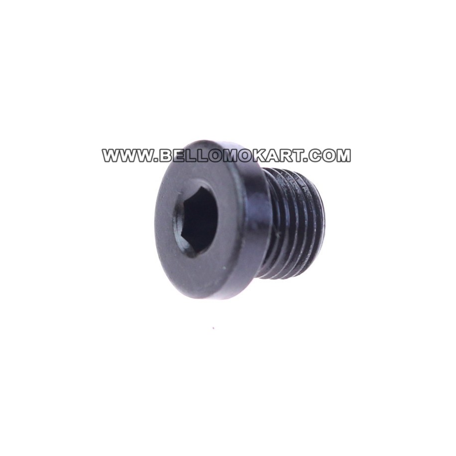 pistoncino pinza post. CRG V09/V10
