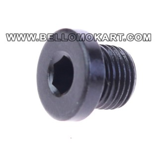 pistoncino pinza post. CRG V09/V10