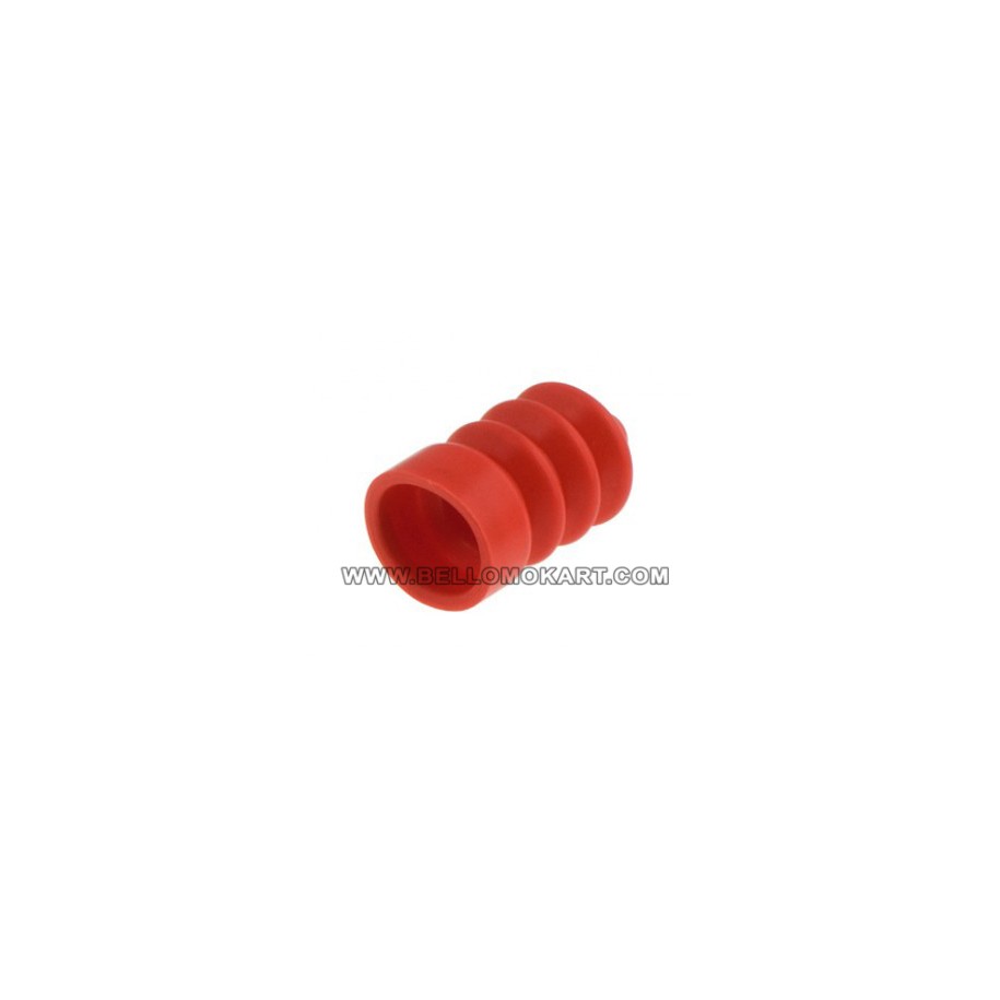 parapolvere pompa freno BSM - BSM2 rosso