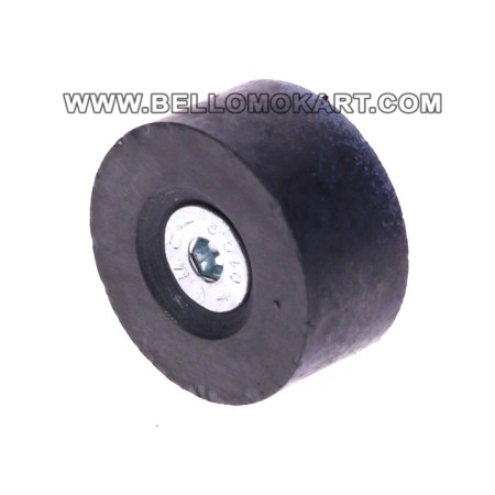 Magnete pistoncino con vite  pinza freno post. OTK BSD / BS5 / SA2