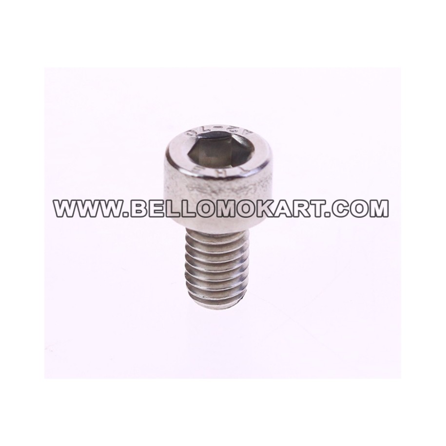 vite TCCE M6x10 inox