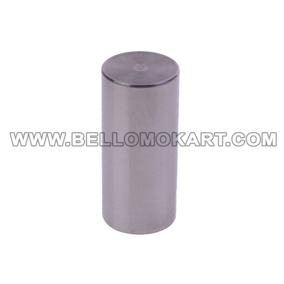 asse accoppiamento 18 x 39.5 tm 60 GR-3