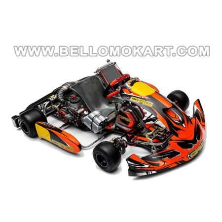 Kit adesivi CRG 507 / 508 completo