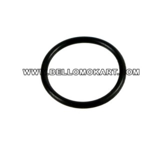 O ring coperchio valvola Tillotson FM 15/18-1A