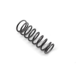 SPRING MASTER CYLINDER 22SR