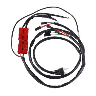 Gruppo cavi con connettori LKE R16 GR3