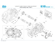 cuscinetti cambio e pignone Tm R3