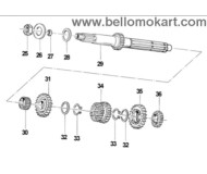 albero primario cambio Tm KZ10