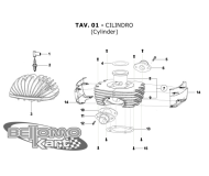 cilindro-testa Tm Mini 2016