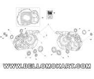 basamento motore Tm R1