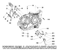 desmo cambio Tm R1
